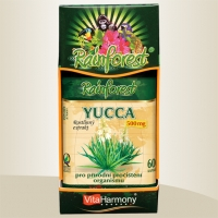 Yucca