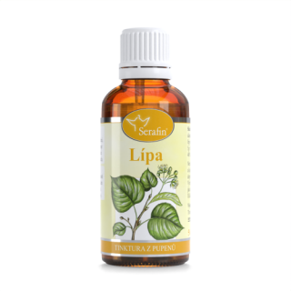 Lípa - tinktura z pupenů