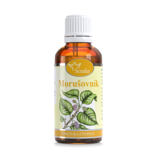 Morušovník - tinktura z pupenů