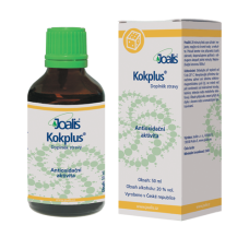 Kokplus