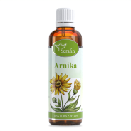 Arnika - tinktura z bylin