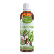 Klanopraška - tinktura z bylin