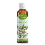 Kotvičník - tinktura z bylin