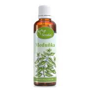 Meduňka - tinktura z bylin