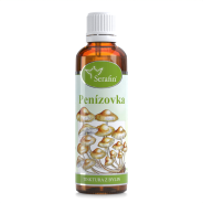 Penízovka - tinktura z bylin