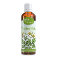 Vlaštovičník - tinktura z bylin