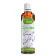 Žampion - tinktura z bylin